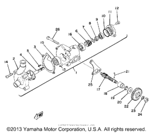 TZ250G Водяной насос