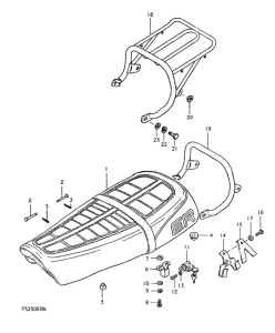 TS250 Пружина