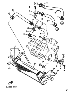 TZ250 Радиатор и шланг