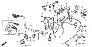 C50 Wire harness /  ignition coil