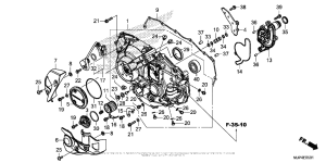 CRF1000D (ABS) Right Crankcase Cover (2)