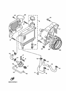 BX50S ﾗｼﾞｴﾀ & ﾎｰｽ