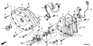 GL1800C Front cover + transmission cover