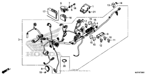 CTX700N DCT Жгут проводов