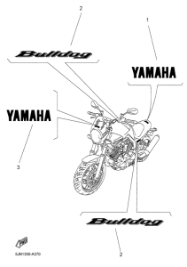 BT1100 Graphic & emblem