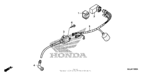 CRF50F Жгут проводов