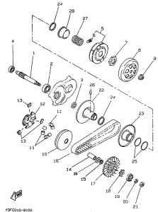 CW50 Сцепление