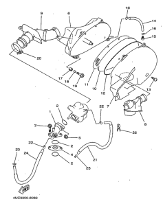 YP250 Впускная система