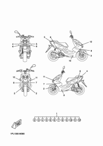 NS50N Graphic & emblem