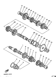 TZ250S/TZ250 Трансмиссия