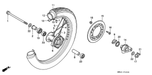 CD250 Transom + tube