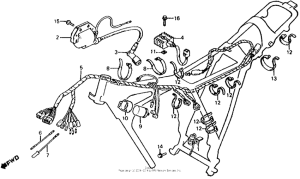 XL100S Wire harness + ignition coil 79-80