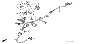 MT50F Wire harness /  ignition coil
