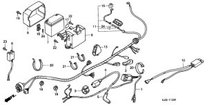 TL125 Wire harness / battery