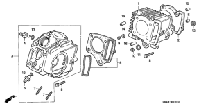 C50 Cylinder / cylinder head