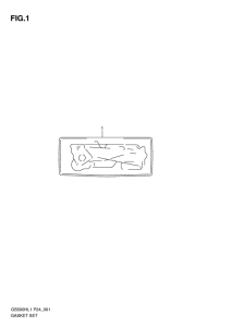 GS500 Front plate seal