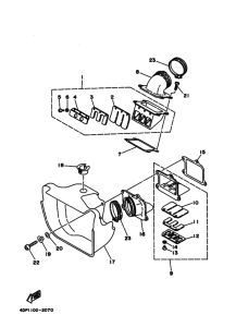TZ250 Впускная система