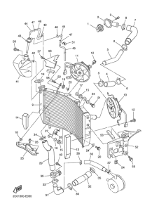 YZF-R6 Radiador & manguera