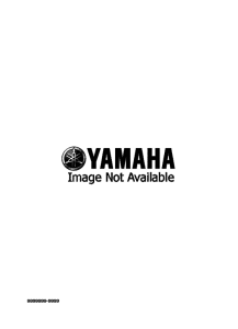 YZ250 YZ250B Восстановительный комплект