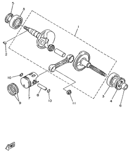 YA50S Ciguenal. pisttn