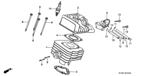 SH50D Cylinder / cylinder head