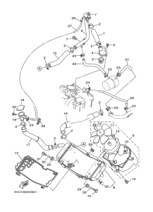XP500 Radiator & hose