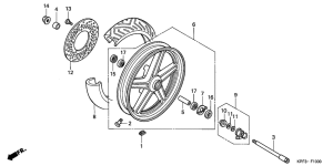 CBF250 Transom + tube