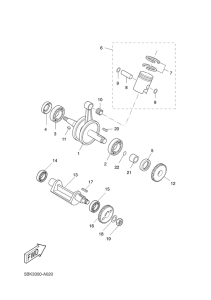 DT50RSM Коленчатый вал и поршни