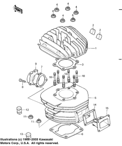  Cylinder head / cylinder / reed valve