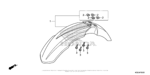  Переднее крыло