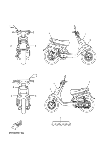 CW50 Graphic & emblem