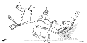 CRF110F Жгут проводов