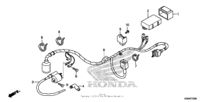  Жгут проводов