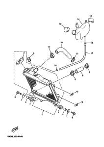 TZR50 Радиатор и шланг