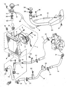 YP125 Радиатор