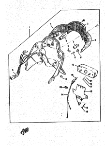 YM50 Taillight unit ass`y