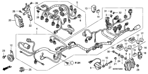 CBF600 (Naked) Harness wire