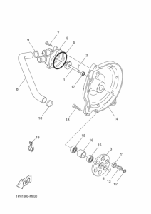 NS50 Водяная помпа