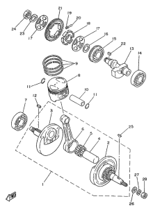 SR250SP Ciguenal. pisttn