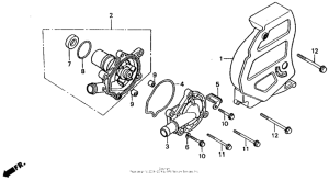 XL600V Водяной насос