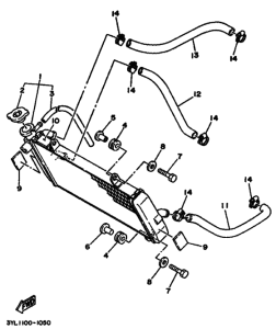 TZ250 Радиатор и шланг