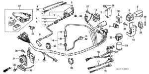 C50 Wire harness /  ignition coil