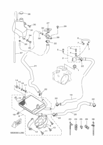 VP250 Радиатор и шланг