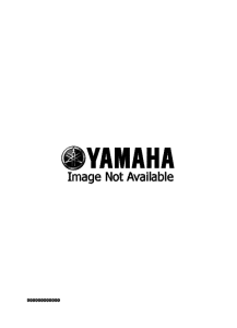 YZ250 YZ250M Восстановительный комплект