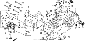 NB50 Crankcase + oil pump