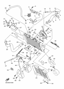 XJ6S Radiator & hose