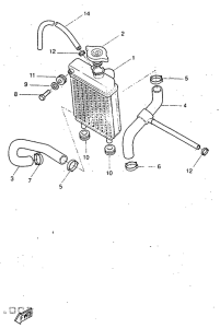 DT50R Radiador . manguela