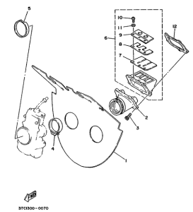 TZ250 Впускная система