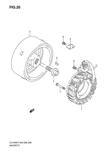 DL1000 Зажигание