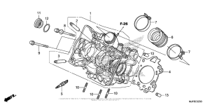 CTX700N DCT Головка цилиндров